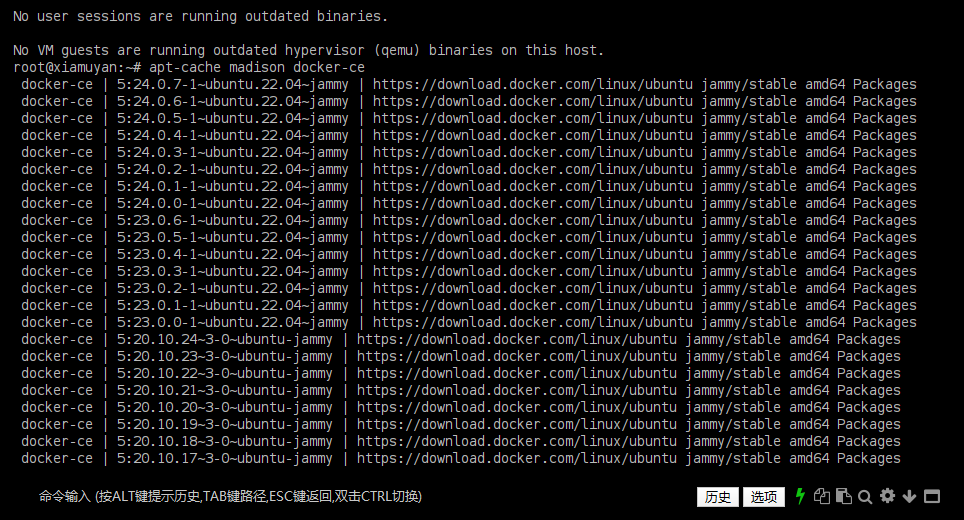 ubuntu-installing-docker02